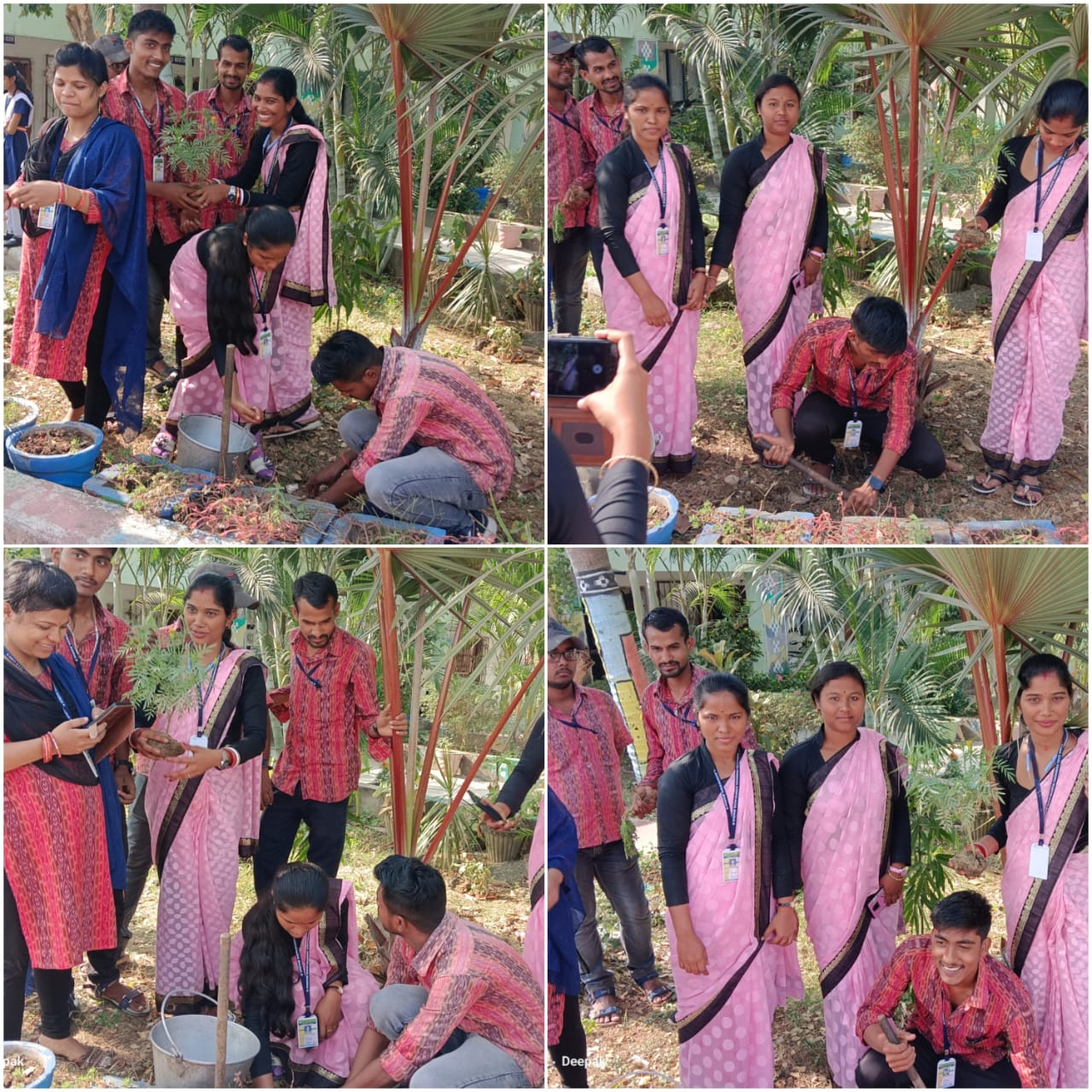 Plantation in School